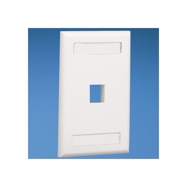 Flush Mount Screw-On Faceplates With Lab (10 Pack), 10PK